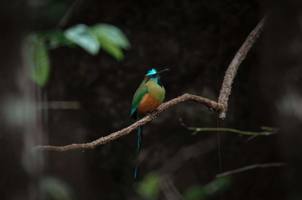 Les bases de la comptabilité : Comprendre l'art de suivre les flux financiers