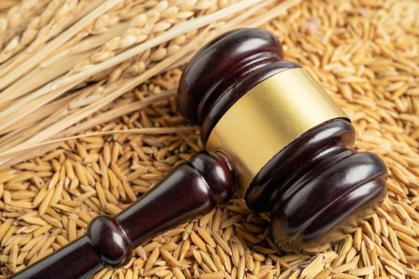 Comment l'avocat en transmission agricole peut vous protéger dans les contentieux fréquents ?